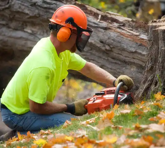 tree services Yutan